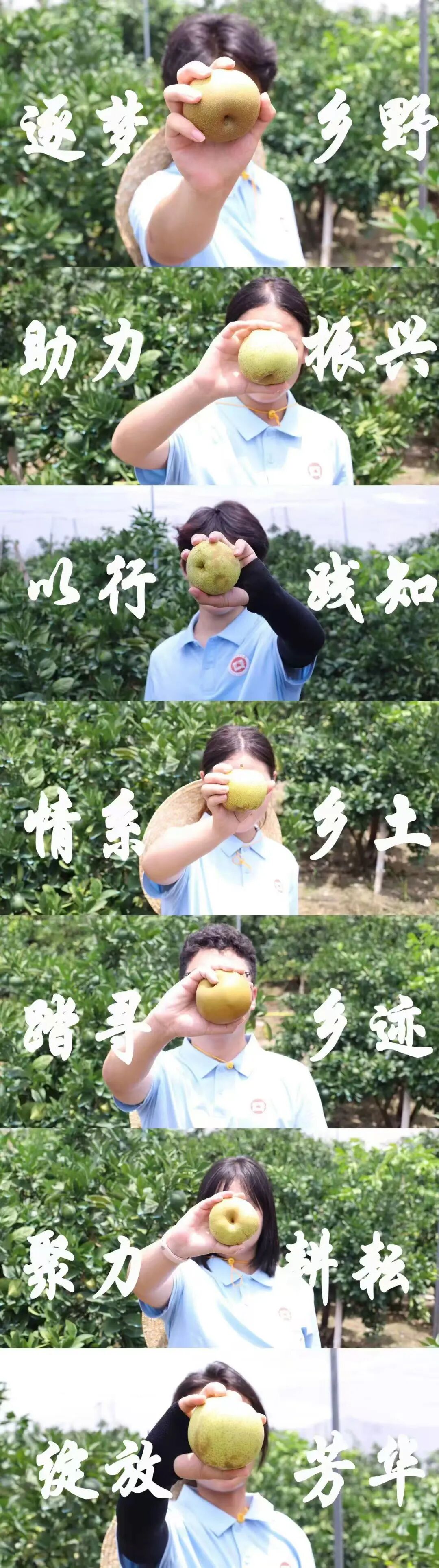 微信图片_20260726095352_63_530.jpg